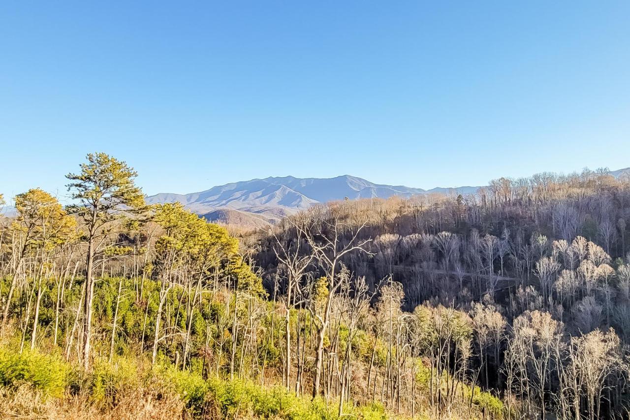 Villa 3 Lazy Bears Chalet Gatlinburg Exterior foto